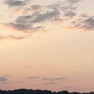 Meet your Posher, Elle